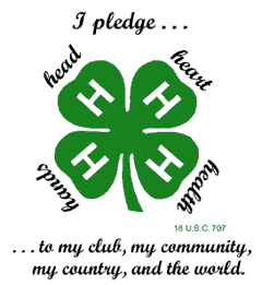 4-H Clover Flyer Dispatch – Extension Jackson County